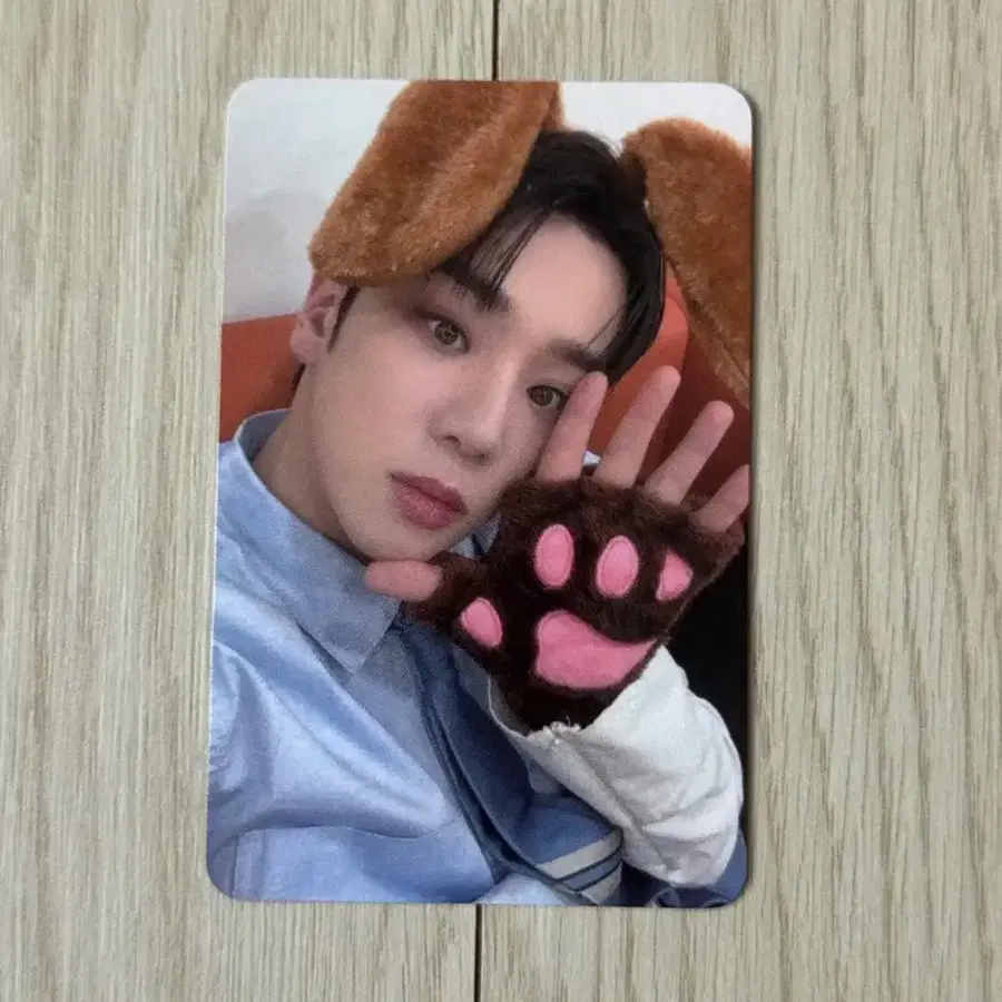 에이스 김병관 마이걸 에버라인 강쥐 버전 미공포 특전 포카