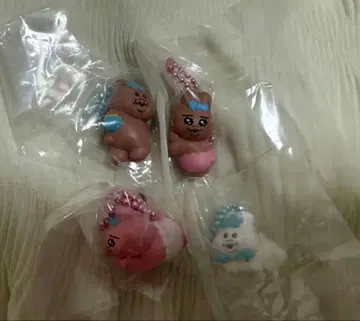 초코가케 비스킷 빤쮸토끼 닌포차무
