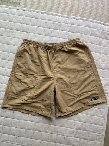 Patagonia 파타고니아 배기즈 롱 M ASTH 아쉬탄 단종품