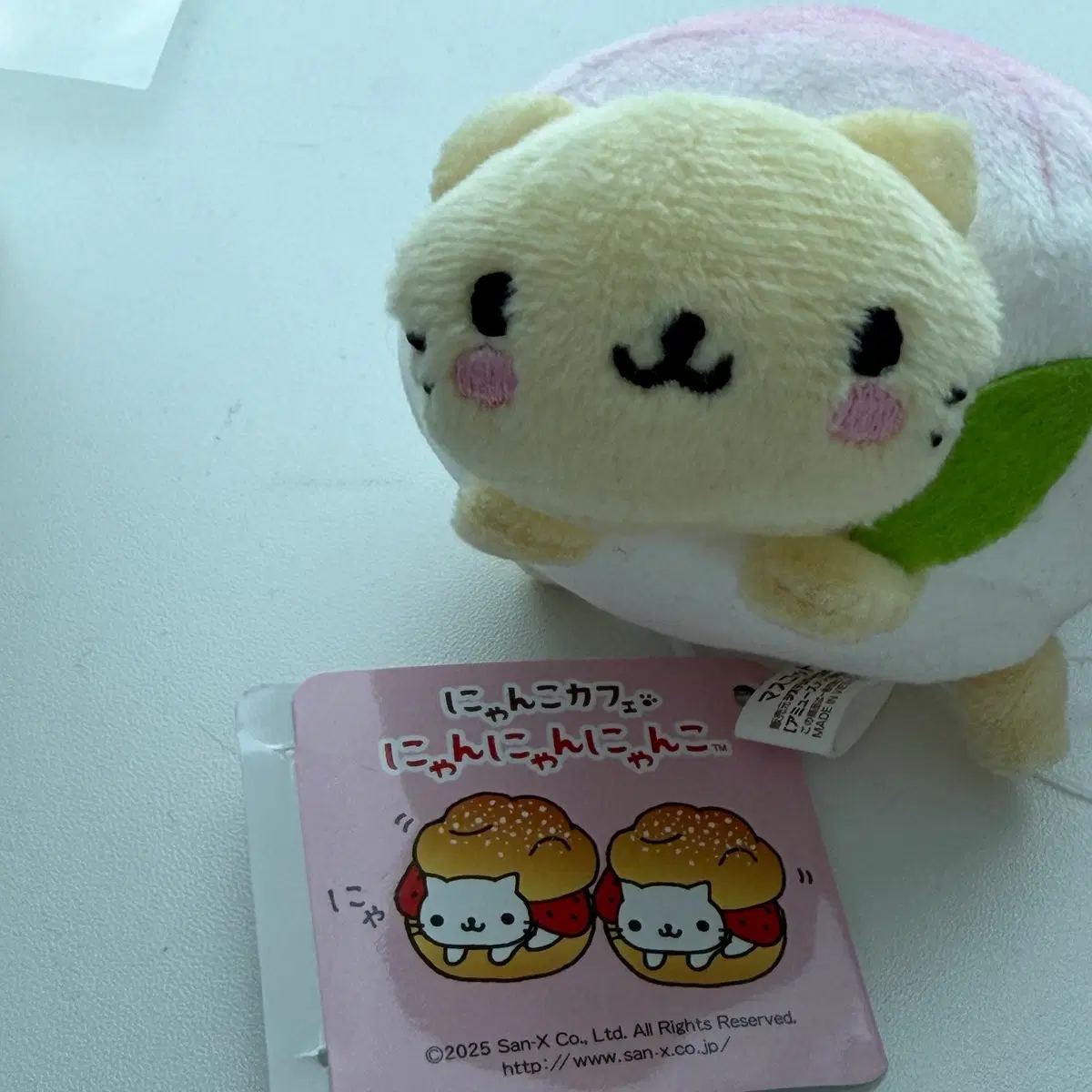 복숭아 냥냥냥코