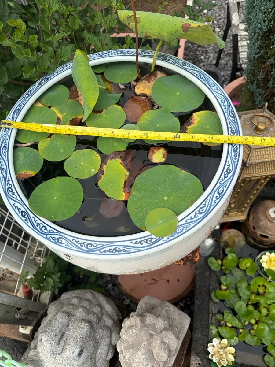 4계정 그림이 그려있는 도자기수반