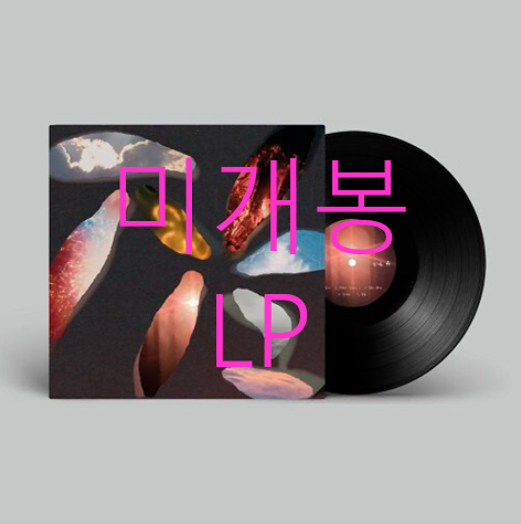 [미개봉] 잠(zzzaam) - 빛나 (LP)