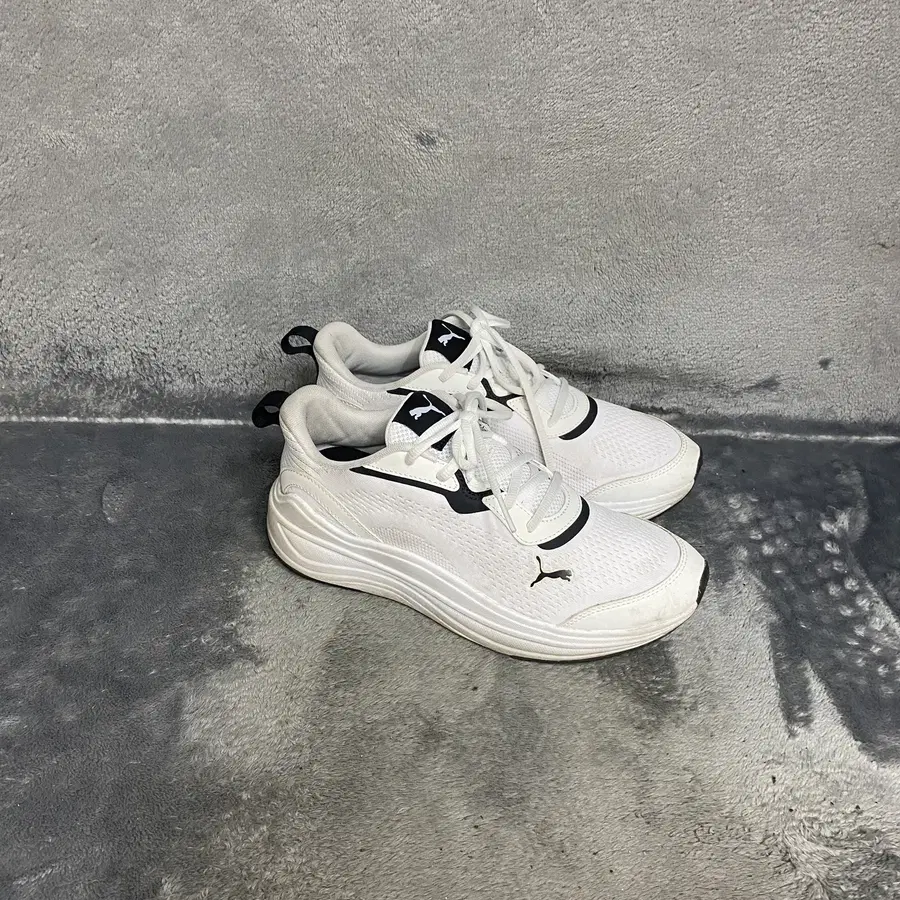 푸마 러닝화 240