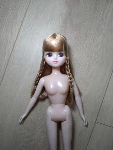 치이카와 (먼작귀) 다이스키 리카짱 본체만