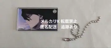 나의 히어로 아카데미아 히로아카 아크릴 키링 컬렉션 아이자와 쇼타