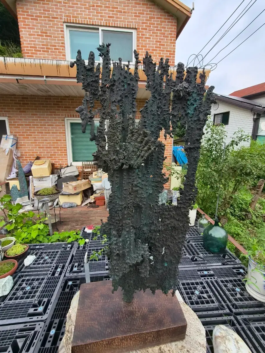 동브론즈 조각작품 (최만린 작가 작품)
