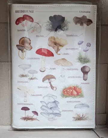 런던자연사박물관 북커버 (버섯, 알라딘 굿즈)