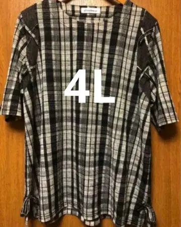 체크 풀오버 블라우스 4L