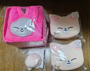 FoxI.Ny 폭시니 아이엔 skzoo