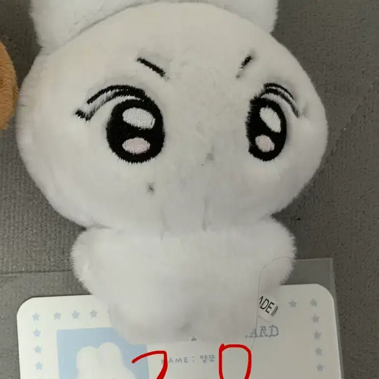 엔하이픈 정원 인형 양또 양도
