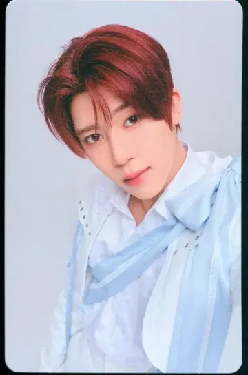 NCT WISH 랜덤 포토 카드 SION 6명의 왕자님이 프로포즈해 온다니 듣지 못했는데요