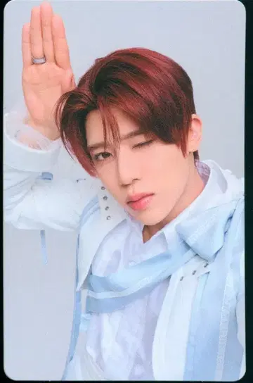 NCT WISH 랜덤 포토카드 SION 6명의 왕자님이 프로포즈해 온다는 건 듣지 못했는데