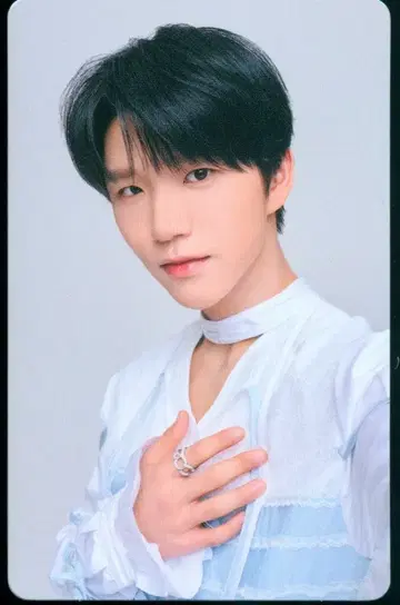 NCT WISH 랜덤 포토 카드 JAEHEE 6명의 왕자님이 프로포즈해 온다니 듣지 못했는데