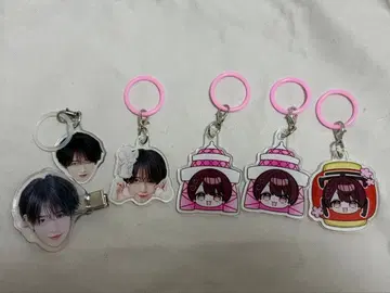 러브시크 태양 메지루시 세트