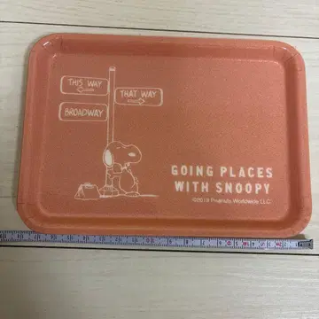 SNOOPY Camtray 캠브로 스누피 트레이
