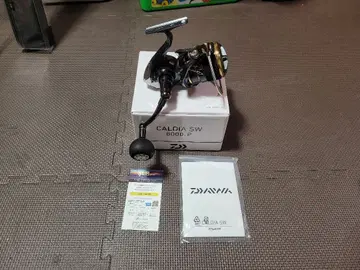 DAIWA 22 칼디아 SW 8000-P