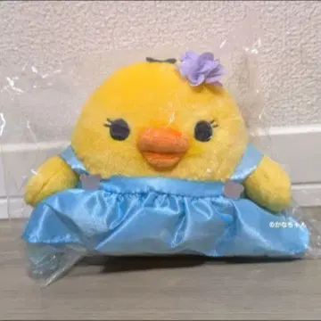 리락쿠마의 온천 리락쿠마 찻집 모아 봉제 인형 키이로이토리