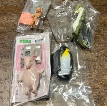 팬더의 구멍 오늘은 몇 킬로? 돼지 토이 푸들 악어 펭귄 가챠