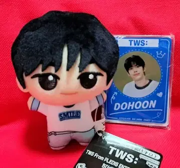 TWS: SD 인형 도훈