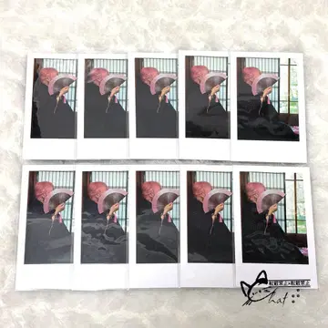 이레이스 실사 폴라로이드풍 트레이딩 카드 나이코군