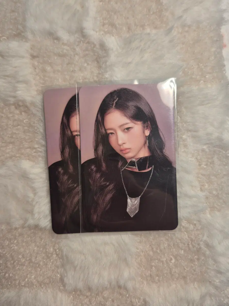 아이브 레이 포카