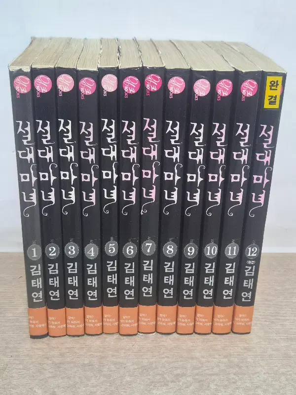 절대마녀(1~12 완결) /중급
