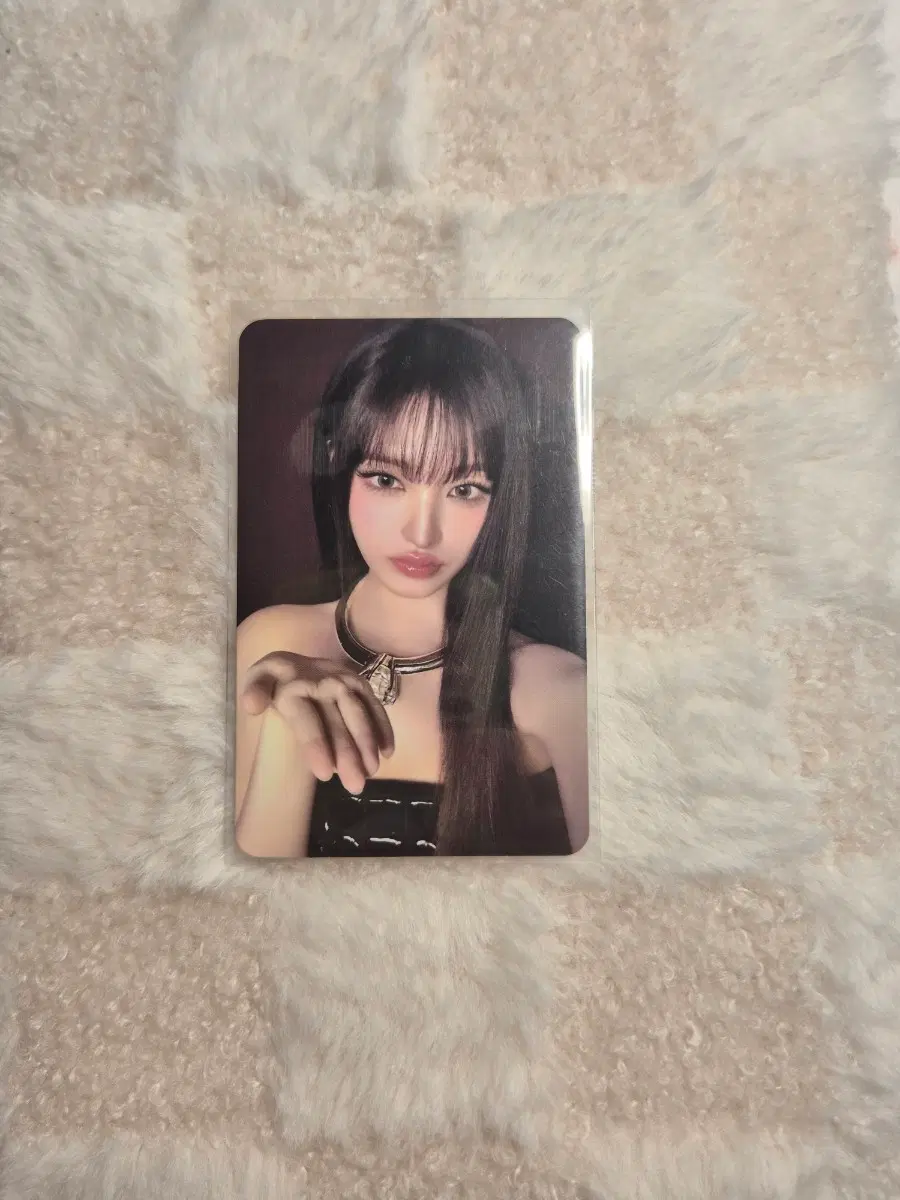 아이브 리즈 포카