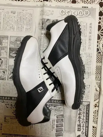 FOOTJOY 골프화 남성용 45303J 화이트/블랙 FJ