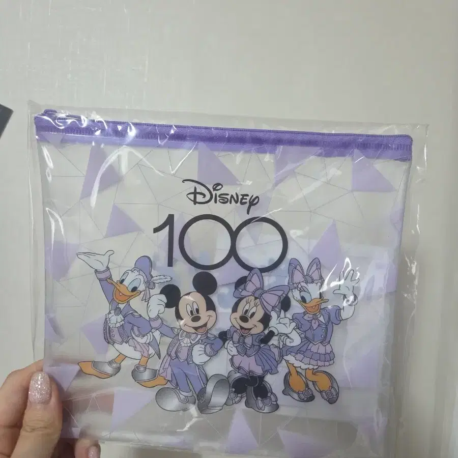 디즈니 100주년 미키마우스 도날드덕 데이지덕 파우치