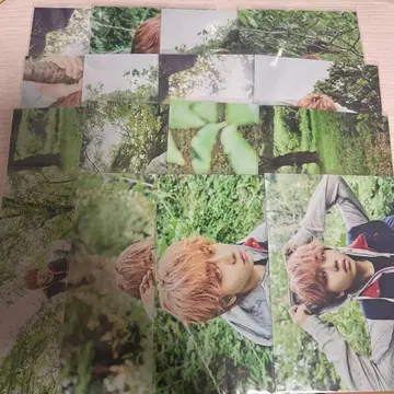 원인은 자신에게 있다. 겐지부 나가노 료타 생탄 사진 16장