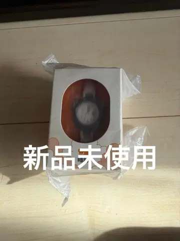카시오 시계