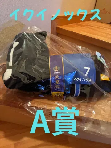 다이토 복권 이퀴녹스 봉제 인형 A상