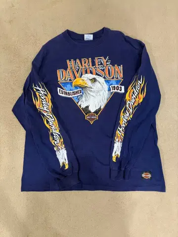 90s Harley-Davidson 1991 EAGLE 소매 프레임 롱t