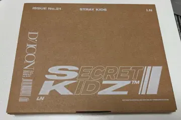 StrayKids DICON SECRETKIDZ I.N B