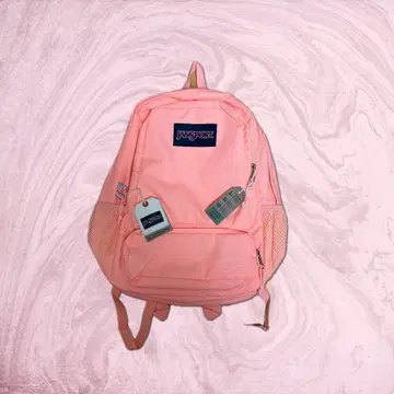 미사용 새상품 JANSPORT 백팩 핑크 Y2K 스트릿 swag