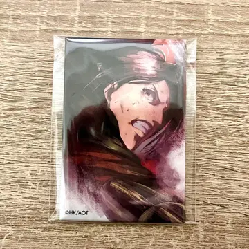 진격의 거인 한지 조에 WIT STUDIO 스퀘어 캔뱃지