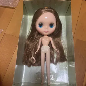 브라이스 베리 비키 Blythe 본체