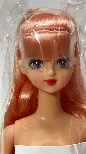 리카짱 캐슬 즐거운 인형 사야카 포니테일