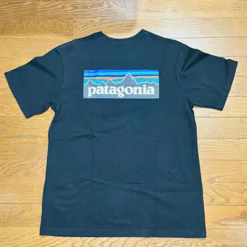 Patagonia T셔츠