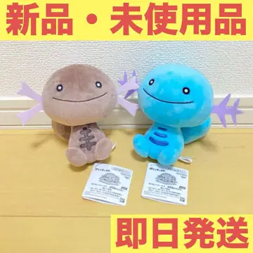 포켓몬스터 포켓몬 포커스 (지방별 모습) 우파 팔데아 우파