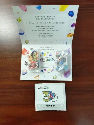 포켓몬 30주년 키링 컬렉션 소드 쉴드 너를 만난 카드 포함