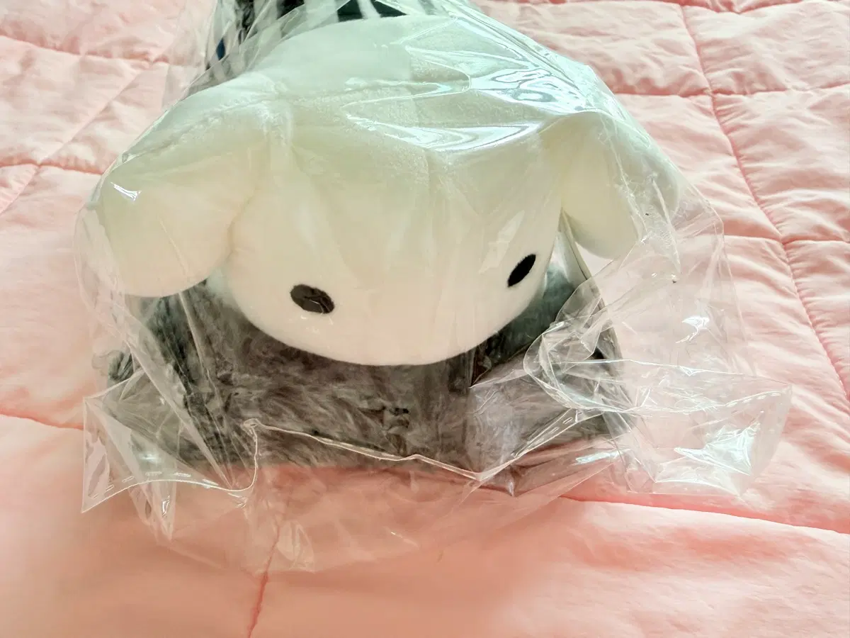 제습요정 하양이 가나디 제습인형