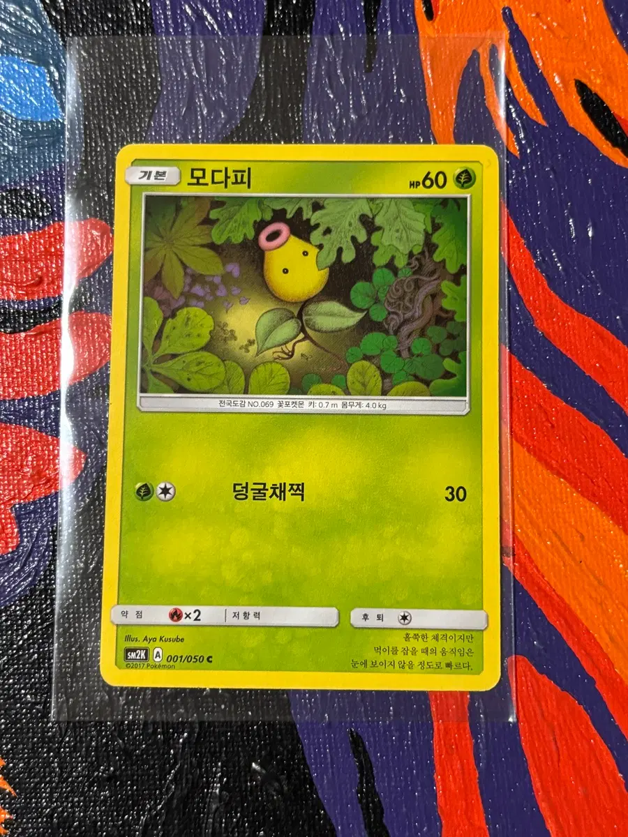 포켓몬스터 모다피sm2k 포켓몬 카드 인테리어 소품 꾸미기용 포장
