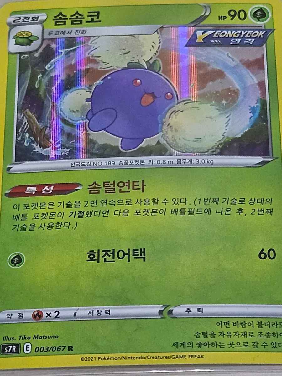 [한정수량] 포켓몬카드 솜솜코