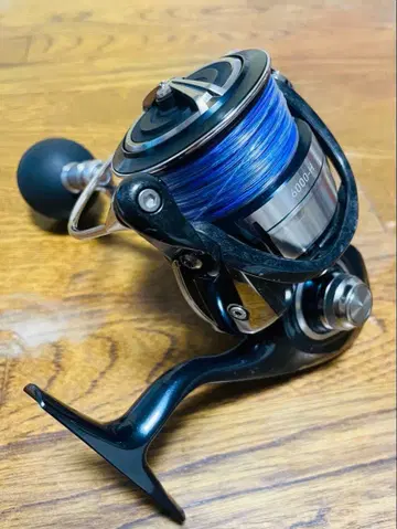 21 셀테이트 SW6000-H 다이와