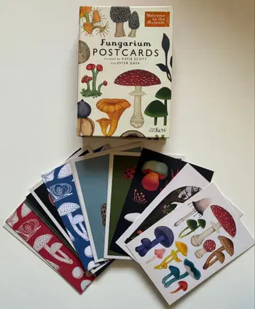 Fungarium POSTCARDS 엽서 50장 세트