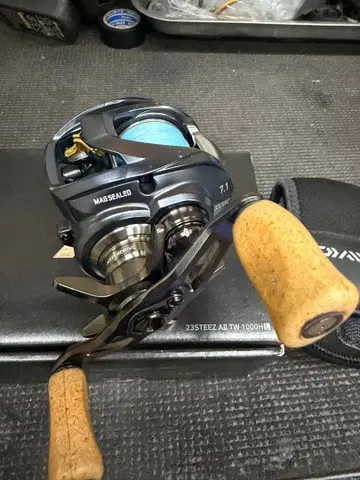 DAIWA 23 STEEZ A II TW 1000HL