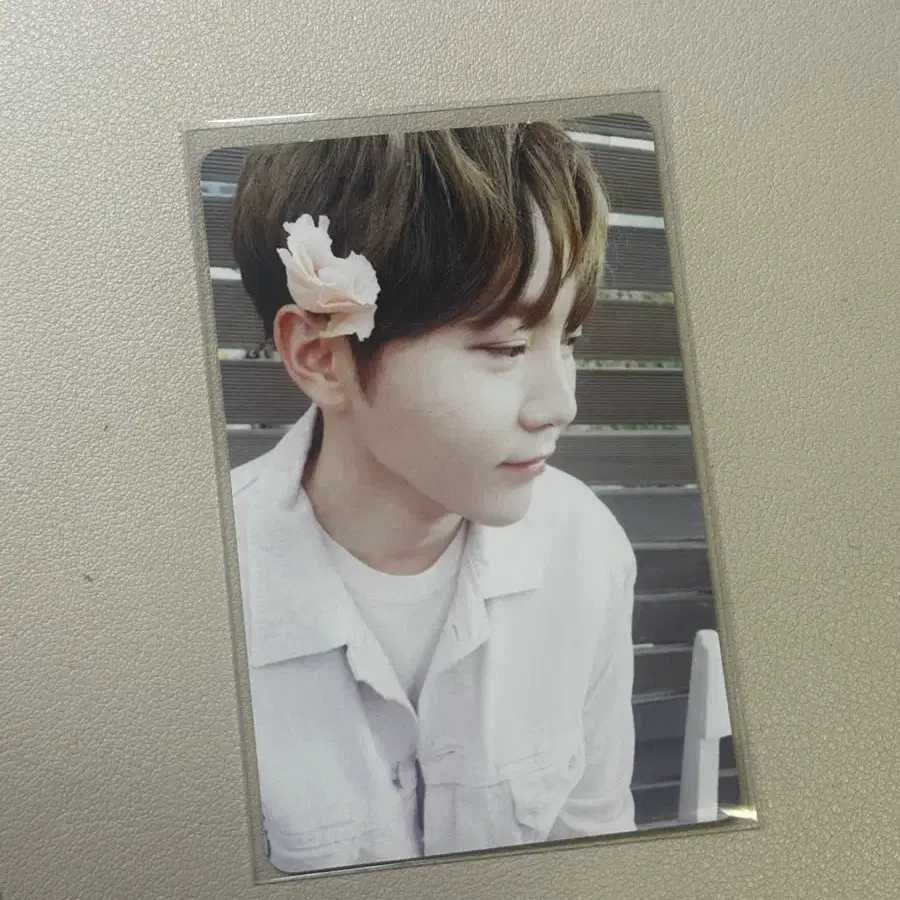 승관 박화부 포카