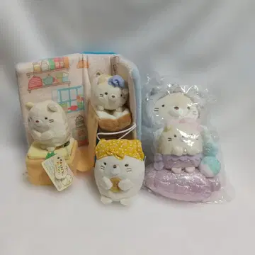 스미코구라시 고양이