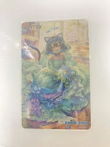 츄니즘 Aime카드 나이 미개봉 새상품